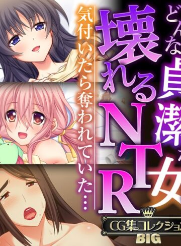 大人のSEXY絵本×単行本❤どんな貞潔な女も壊れるNTR〜気付いたら奪われていた…〜【CG集コレクションBIG】
